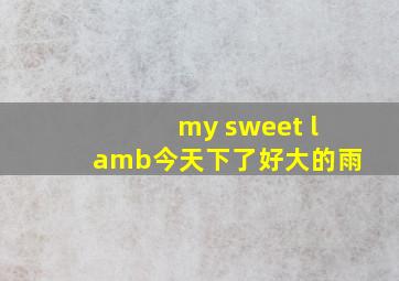 my sweet lamb今天下了好大的雨